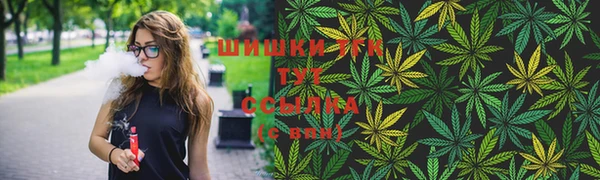 индика Балабаново