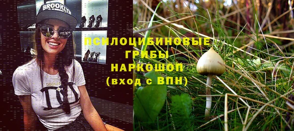 спайс Арсеньев