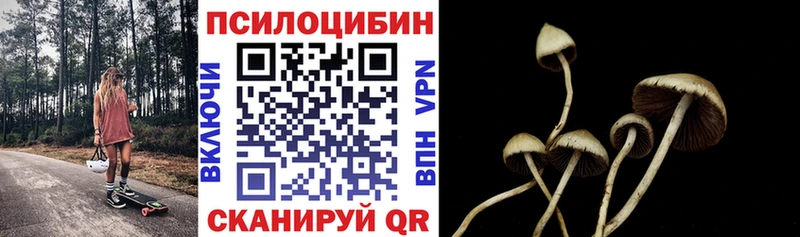 Галлюциногенные грибы MAGIC MUSHROOMS  как найти   Волгореченск 